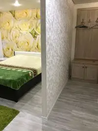 vip